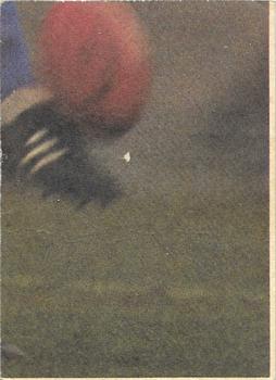 1985 Scanlens VFL #74 Neil Cordy Back